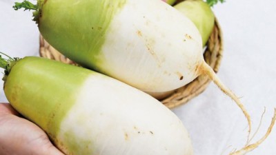 겨울철 김장 없이도 맛보는 천수동치미무우! 솔직 후기와 구매 꿀팁 대방출 🎉